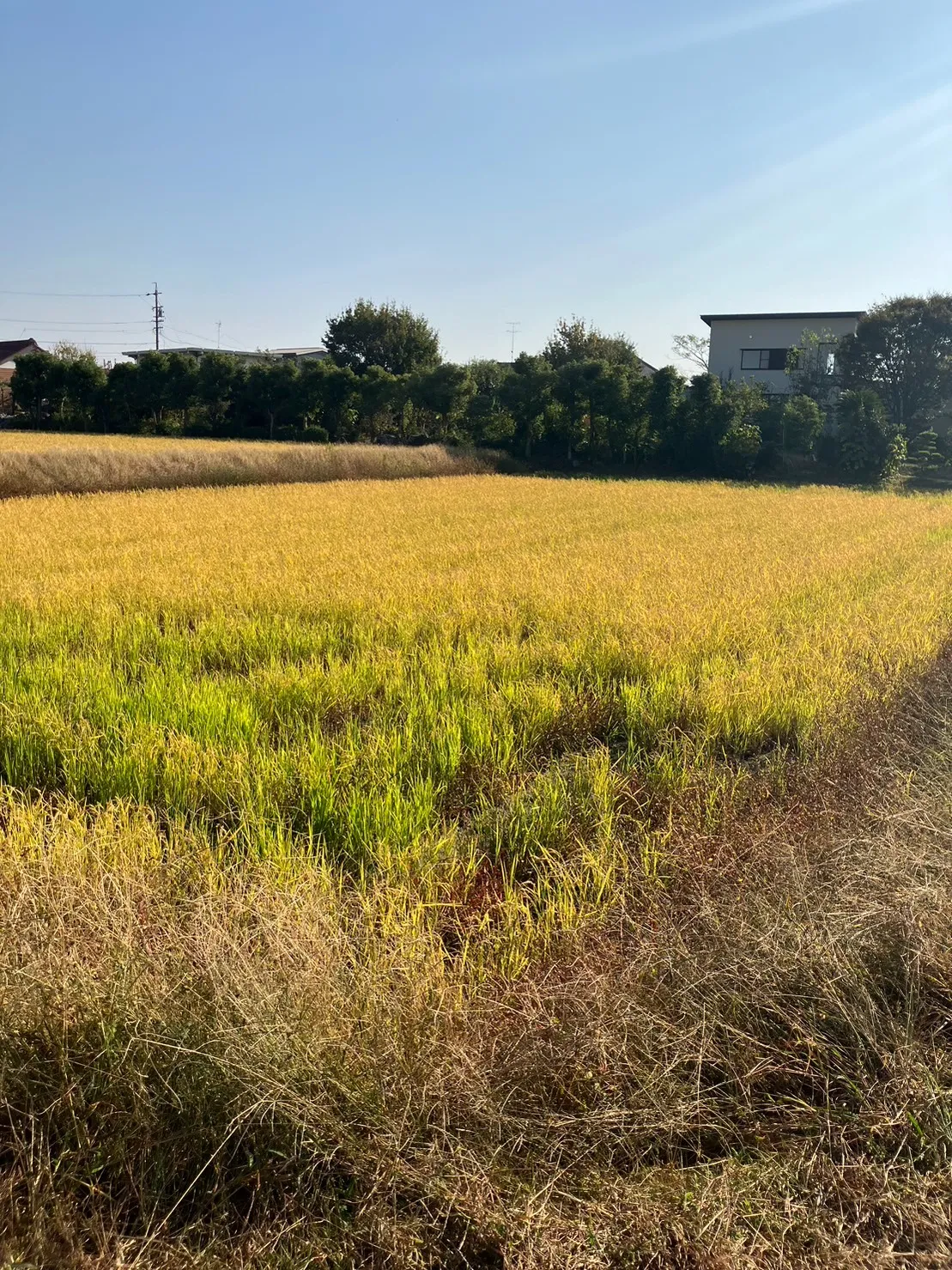 売り土地　安城市　